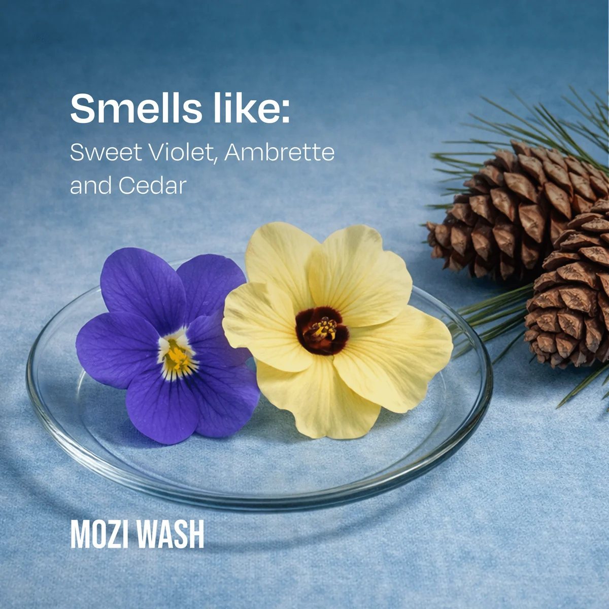 Malibu Mornings Laundry Detergent