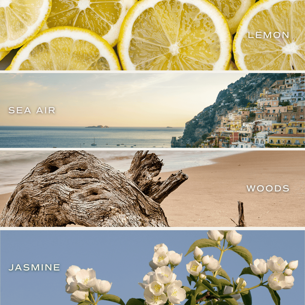 *NEW* Coastal Lemon 15 oz Soy Candle, Matte Jar - Home Decor