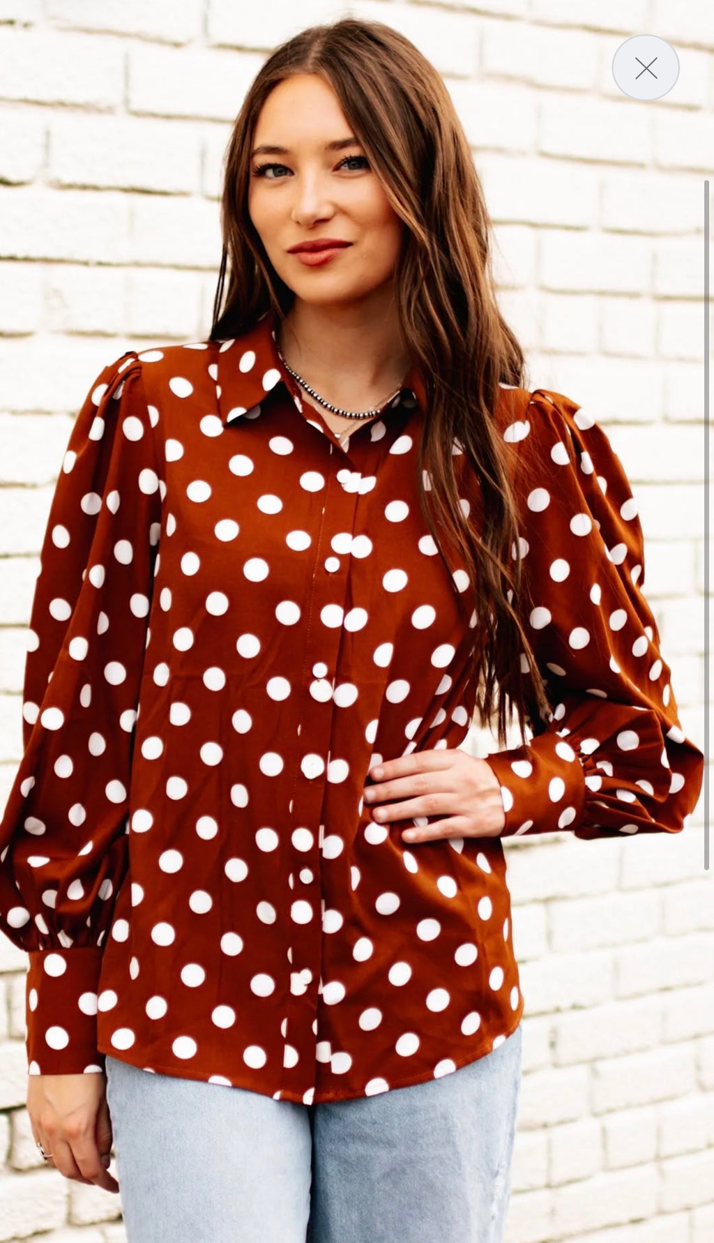 Brown Polka Dot Blouse